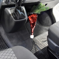 Gummimatten Fahrer Beifahrer Winter